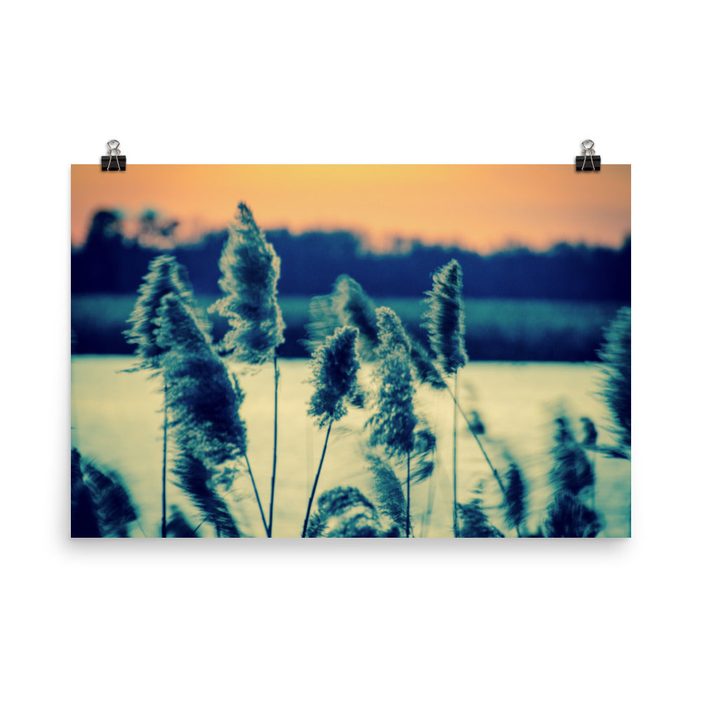 Sunset on the Marsh 2 Landscape Photo Loose Wall Art Prints - PIPAFINEART