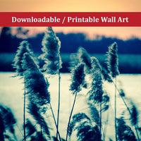 Sunset on the Marsh 2 Landscape Photo DIY Wall Decor Instant Download Print - Printable  - PIPAFINEART