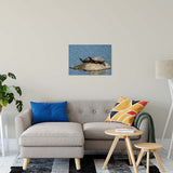Sunshine Rock with Turtles Animal / Wildlife Photograph Fine Art Canvas & Unframed Wall Art Prints 20" x 24" / Canvas Fine Art - PIPAFINEART