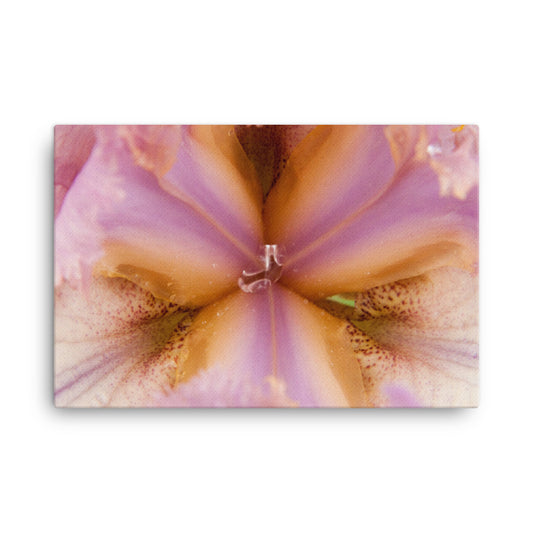 Symmetry of Nature Floral Nature Canvas Wall Art Prints