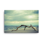 The Cove Coastal Landscape Canvas Wall Art Prints