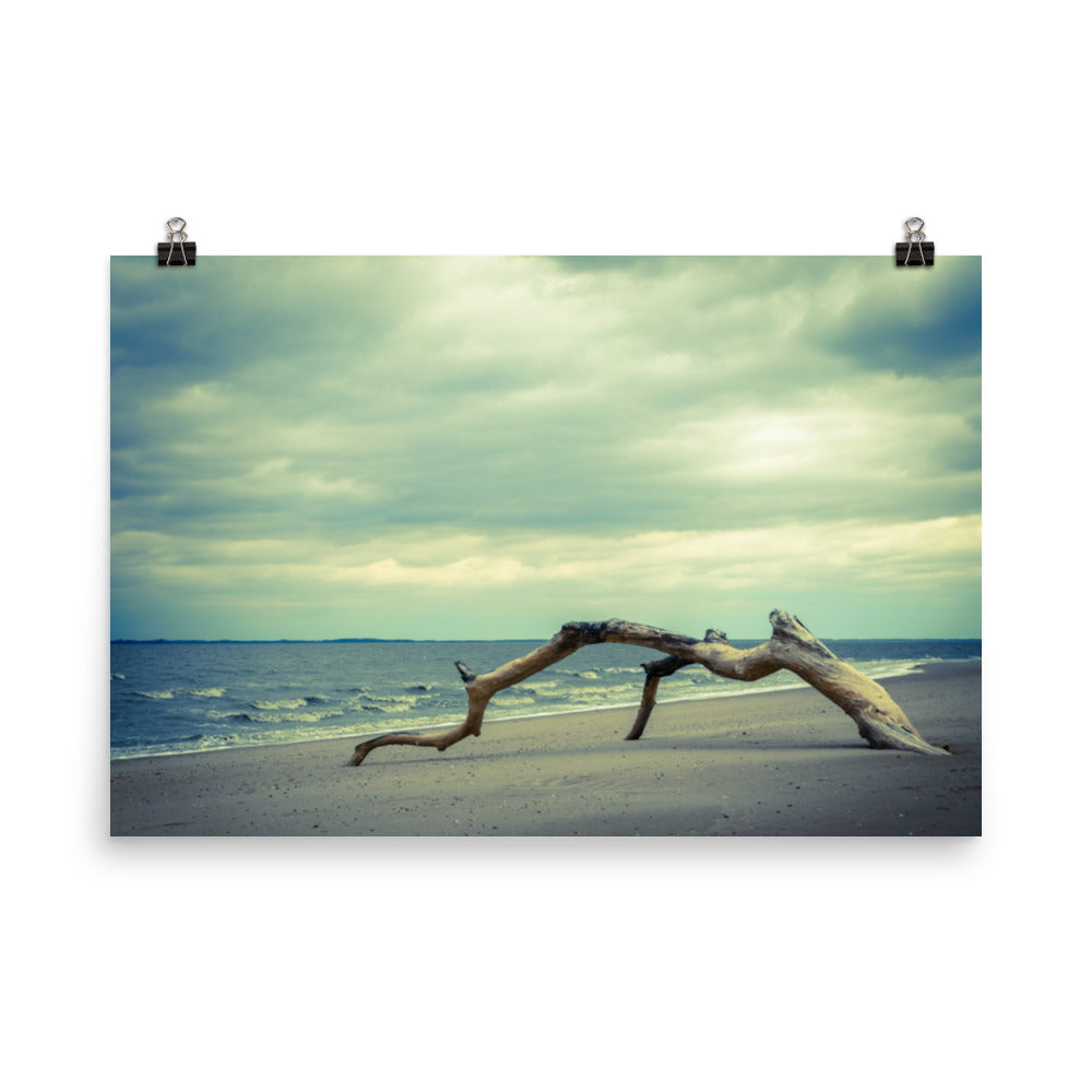 The Cove Landscape Photo Loose Wall Art Prints - PIPAFINEART