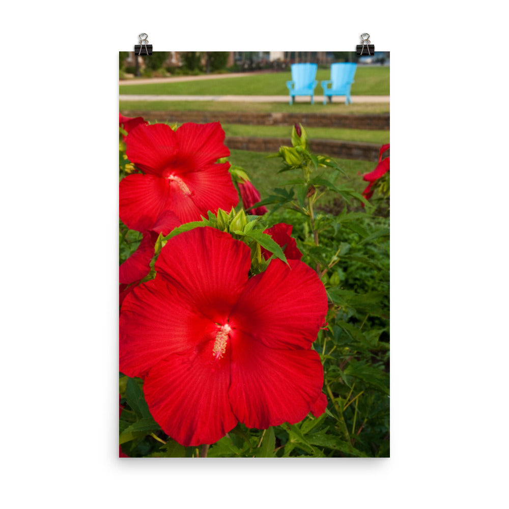 The Riverfront 2 Floral Nature Photo Loose Unframed Wall Art Prints - PIPAFINEART