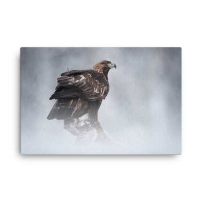 The Victor - Golden Eagle with Prey In The Mist Animal Wildlife Photograph Canvas Wall Art Prints