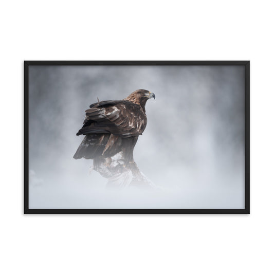 The Victor - Golden Eagle with Prey In The Mist Animal Wildlife Photograph Framed Wall Art Prints