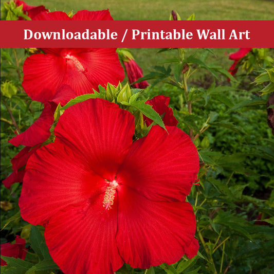 The Riverfront 2 Floral Nature Photo DIY Wall Decor Instant Download Print - Printable  - PIPAFINEART