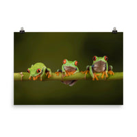 Three Tiny Green Red Eyed Tree Frog on Bamboo Branch Animal Wildlife Floral Nature Photograph Loose Wall Art Print