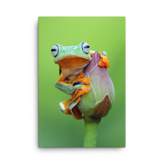 Tiny Green Tree Frog on Lotus Bloom Animal Wildlife Floral Nature Photograph Canvas Wall Art Prints