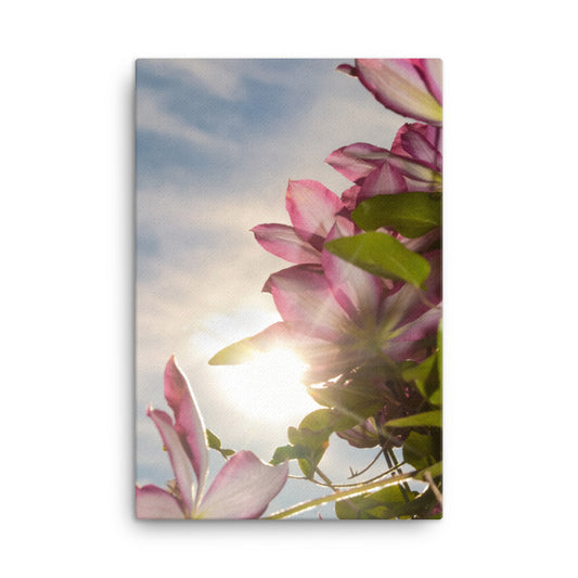 Towering Clematis Floral Botanical Nature Photo Canvas Wall Art Prints