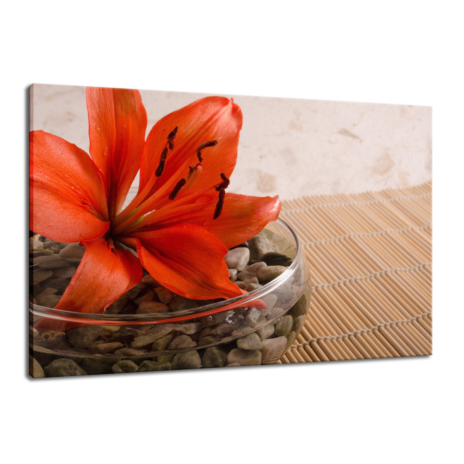 Tranquil Lily Nature / Floral Photo Fine Art Canvas Wall Art Prints  - PIPAFINEART