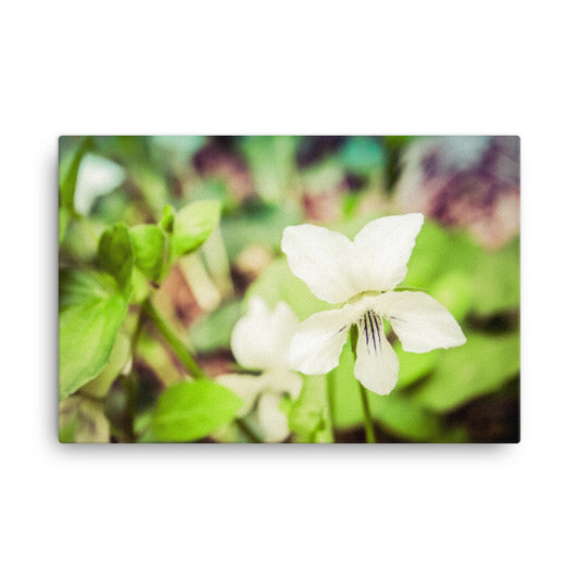 Tranquil China Violet Floral Botanical Nature Photo Canvas Wall Art Prints