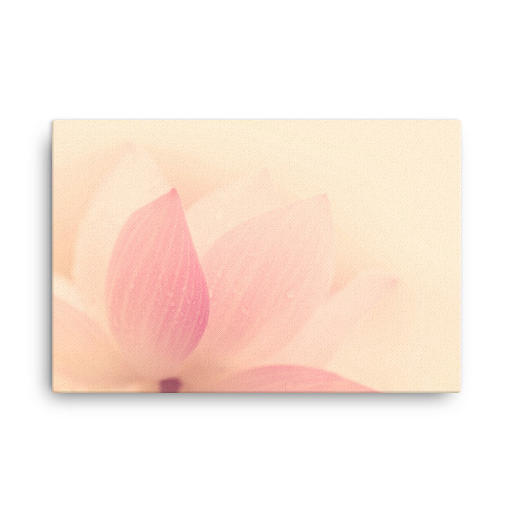 Tranquil Close-up Pink Lotus Petal Floral Nature Photo Canvas Wall Art Prints