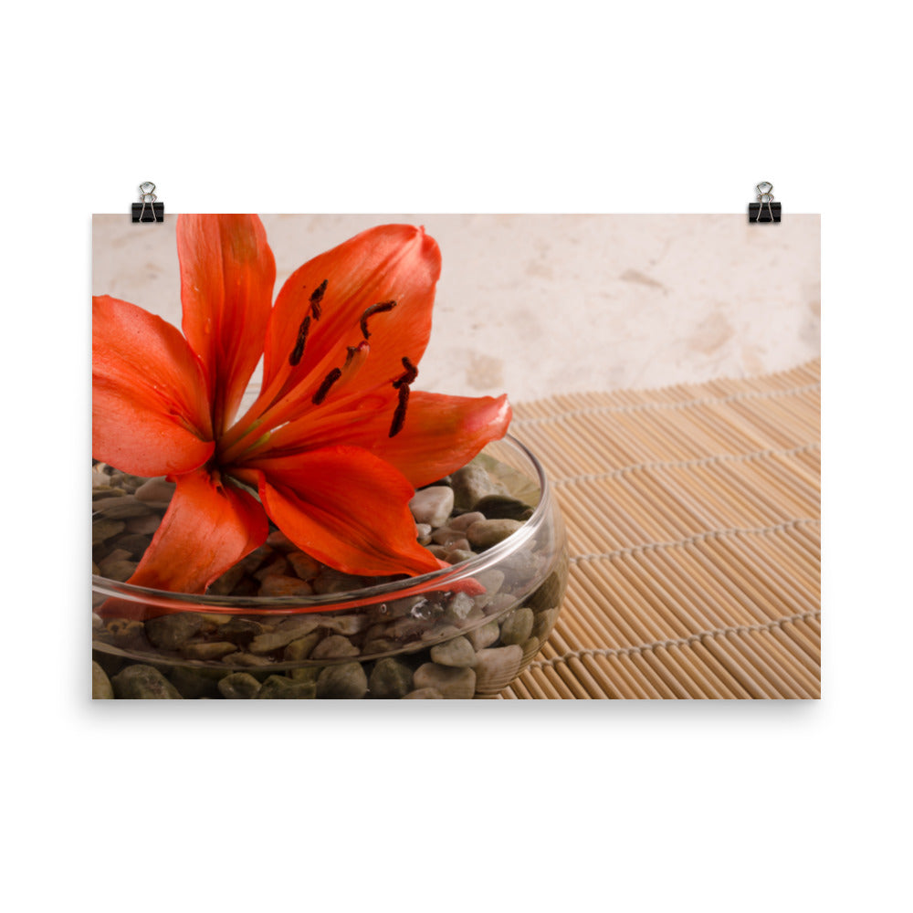Tranquil Lily Floral Nature Photo Loose Unframed Wall Art Prints - PIPAFINEART