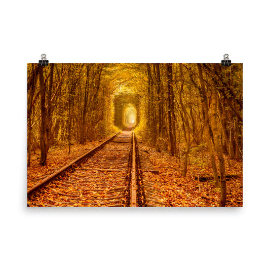 Farmhouse Wall Decor Large: Ukraine Forest Railway Tunnel of Love Landscape Photo Loose Wall Art Print