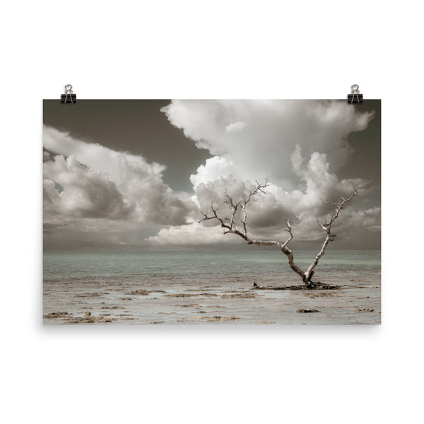 Wanderlust Aged and Colorized Coastal Landscape Photo Paper Poster - PIPAFINEART