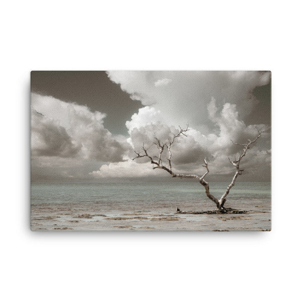 Wanderlust Aged and Colorized Coastal Landscape Photo Canvas Wall Art Prints