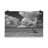 Wanderlust High Contrast Black and White Coastal Landscape Photo Paper Poster - PIPAFINEART