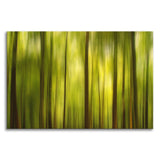 Warmth of the Forests Colors Abstract Photo Canvas Wall Art Print