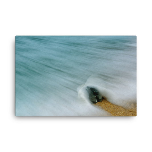 Whelk Seashell and Misty Wave Coastal Nature Photograph Canvas Wall Art Prints