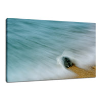 Whelk Seashell and Misty Wave Nature / Coastal Photo Fine Art Canvas Wall Art Prints  - PIPAFINEART