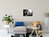 White Clay Creek Bridge Rural Landscape Photo Fine Art Canvas Wall Art Prints 20" x 24" - PIPAFINEART