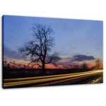 Wicked Tree Rural Landscape Photo Fine Art Canvas Wall Art Prints  - PIPAFINEART