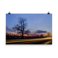 Wicked Tree Landscape Photo Loose Wall Art Prints - PIPAFINEART