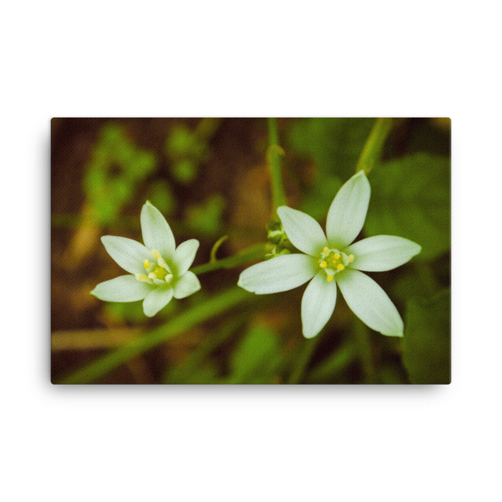 Wild Beauty Floral Nature Canvas Wall Art Prints