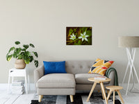 Wild Beauty Nature / Floral Photo Fine Art Canvas Wall Art Prints  - PIPAFINEART