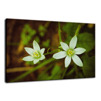 Wild Beauty Nature / Floral Photo Fine Art Canvas Wall Art Prints  - PIPAFINEART