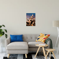 Boho Coastal Wall Art: Wilted Cypress Tree and Sunrise Nature Photo Fine Art Canvas Wall Art Print