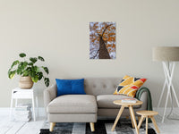 Wind in the Trees Botanical / Nature Photo Fine Art Canvas Wall Art Prints 20" x 24" - PIPAFINEART