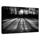 Winter Shadows from the Trees Black & White Fine Art Canvas Wall Art Prints  - PIPAFINEART