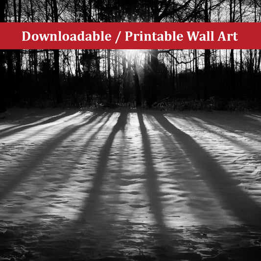 Winter Shadows from the Trees Landscape Photo DIY Wall Decor Instant Download Print - Printable  - PIPAFINEART