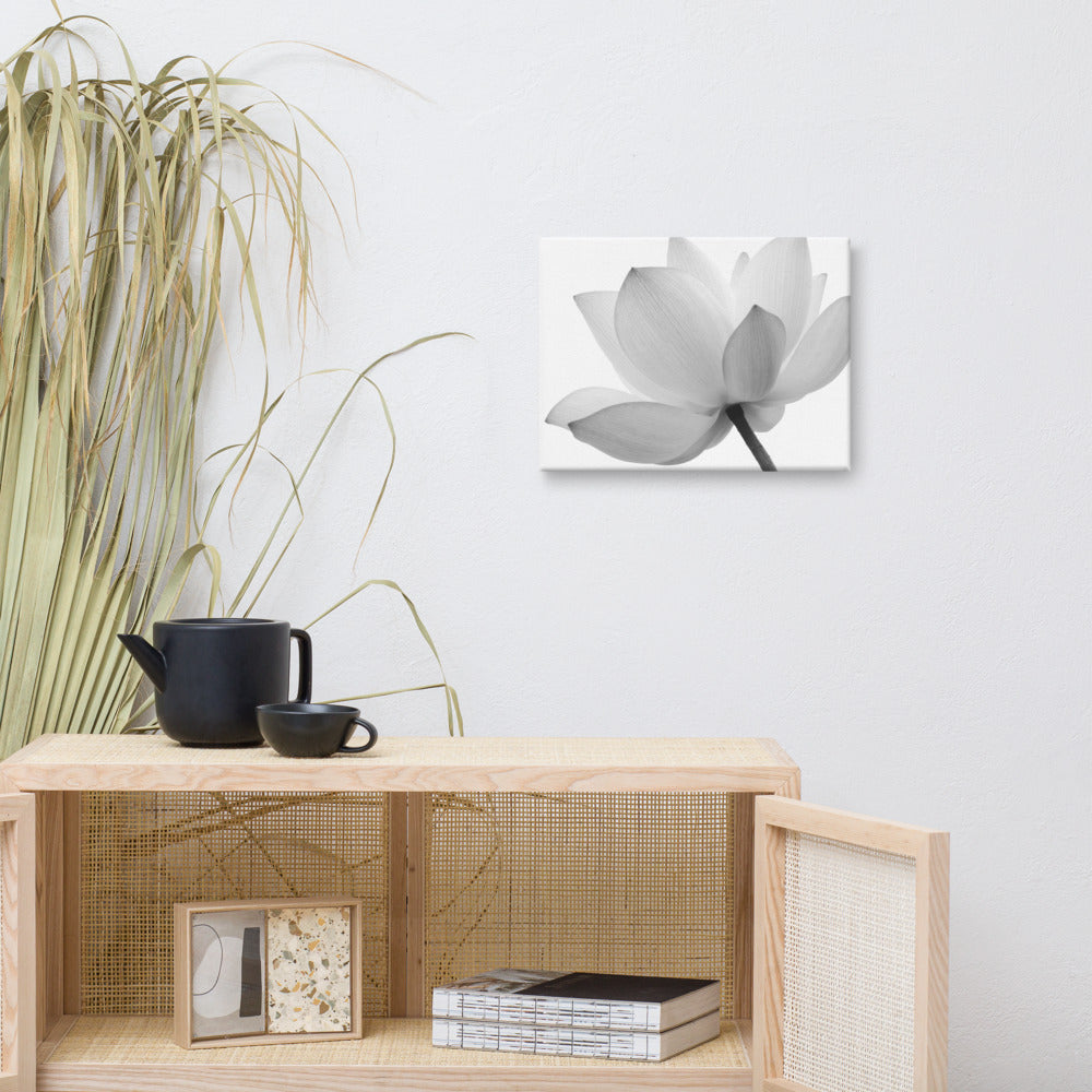 Lotus Flower Black and White Floral Nature Photo Canvas Wall Decorating Print 12??16 - PIPAFINEART