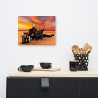 Coastal Bathroom Art: Dried Tree Roots and Sunrise Boneyard Beach Jackson Florida Canvas Wall Art Print 12" x 16"