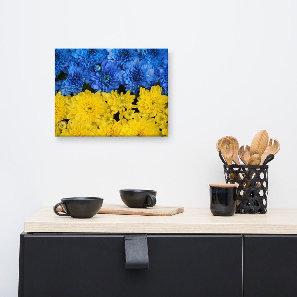 Blue Flower Canvas Wall Art: Blue and Yellow Chrysanthemums Nature Photo For Ukraine Refugees Nature Photo Canvas Wall Art Print