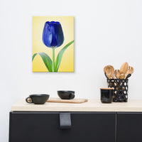 Flower Prints On Canvas: Blue Tulip Minimal Floral Nature Photo - For Ukraine Refugees Canvas Wall Art Print