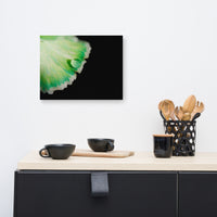 Water Droplet on Carnation Petal Floral Nature Canvas Wall Art Prints