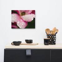 Raindrops on Wild Rose Floral Nature Canvas Wall Art Prints