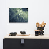 Rain Dropping on Canna Leaf Botanical Nature Canvas Wall Art Prints