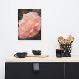 Pink and White Softened Rose Floral Nature Canvas Wall Art Prints