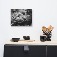 Perfect Petals High Contrast Black and White Floral Nature Canvas Wall Art Prints