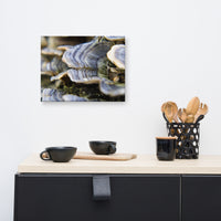 Mushrooms on Log Floral Nature Canvas Wall Art Prints