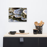Mushrooms on Log Floral Nature Canvas Wall Art Prints
