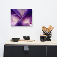 Iris Center Petals Floral Nature Canvas Wall Art Prints