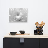 Infrared Flower 2 Black and White Floral Nature Canvas Wall Art Prints