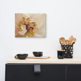 Eye of Peony Moody Midnight Floral Nature Canvas Wall Art Prints