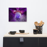 Eye of Iris Floral Nature Canvas Wall Art Prints