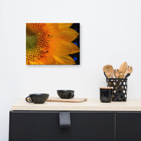 Close-up Sunflower Floral Nature Canvas Wall Art Prints